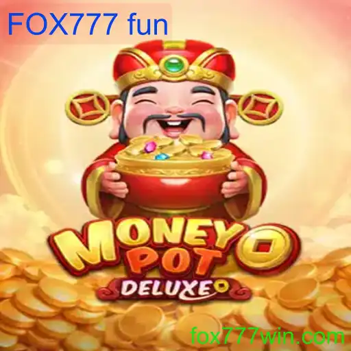 MoneyPotDELUXE